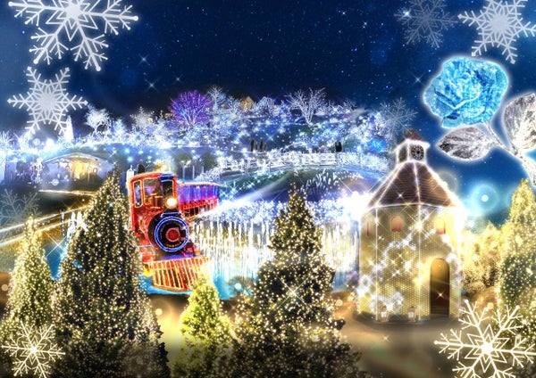 「HIKARIUM2025」関西最大級イルミネーション”ローザンベリー多和田”と近江牛ステーキとハンバーグ鉄板焼【三日市・河内長野・富田林・藤井寺発】1